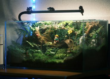 Co zrobić, gdy akwarium zacznie przeciekać? Czujniki zalania Elcluwo pozwalają szybko zareagować