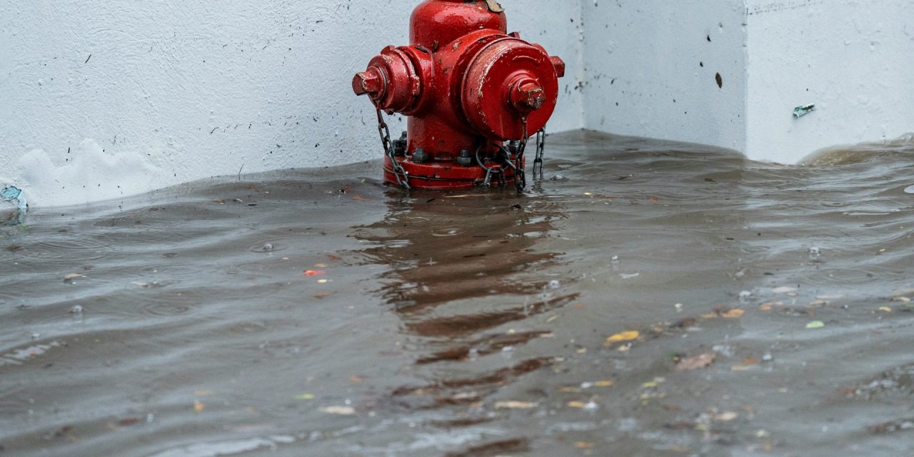 Czy czujnik poziomu wody może uchronić Twój dom przed zalaniem?
