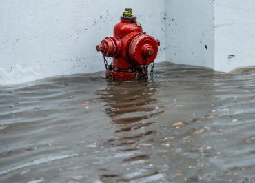 Czy czujnik poziomu wody może uchronić Twój dom przed zalaniem?